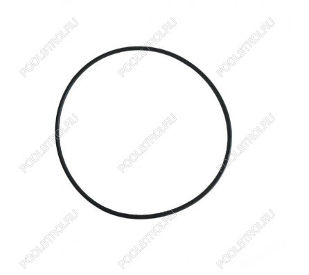 Прокладка для насосов Saer IR4P80-315C Cast Iron (54760152)