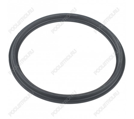 Уплотнительное кольцо Hayward муфты RS II (RSX750N)